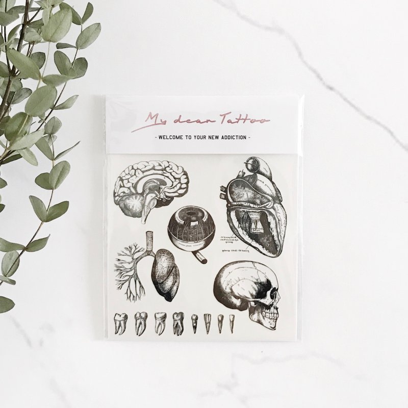 / Temporary Tattoo / 2 sheets (Each Pack) /Human organs - สติ๊กเกอร์แทททู - กระดาษ สีดำ