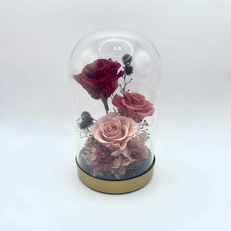 花寓質感金屬玻璃永生花盅-米蘭奢華時尚派對 - 乾燥花/永生花 - 植物．花 