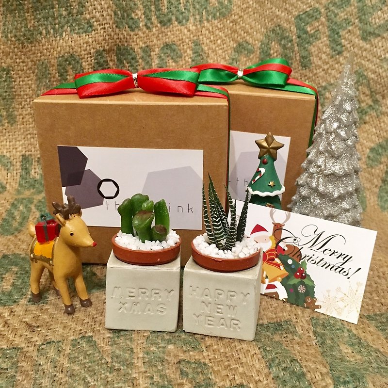 包装のクリスマス交換のギフト（クリスマス限定版）メリーXマス＆幸せな新年 - 観葉植物 - コンクリート グレー
