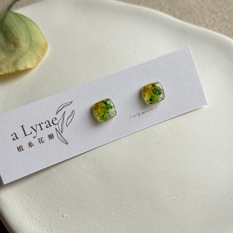 Ear needle earrings handmade 14k gold plated simple jewelry spring wild vegetables - ต่างหู - วัสดุอื่นๆ สีเขียว