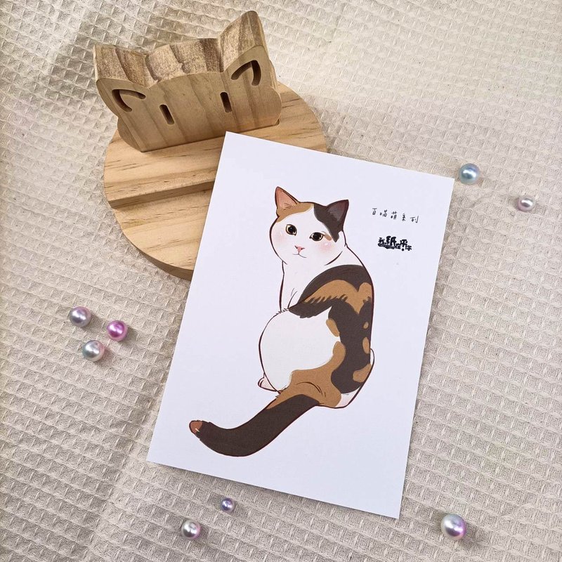 ME183-111_我紙在乎你百喵萌明信片_ill.timing Hundred meow cute postcard - Cards & Postcards - Paper Multicolor