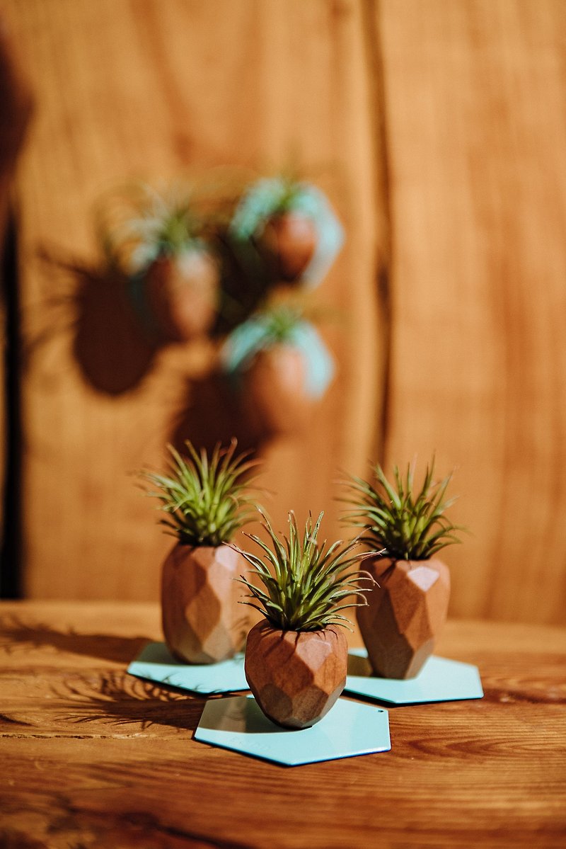 木頭 花瓶/花器 咖啡色 - SNAP FROOTS 磁吸原木植物盆 - Mini 木鳳梨