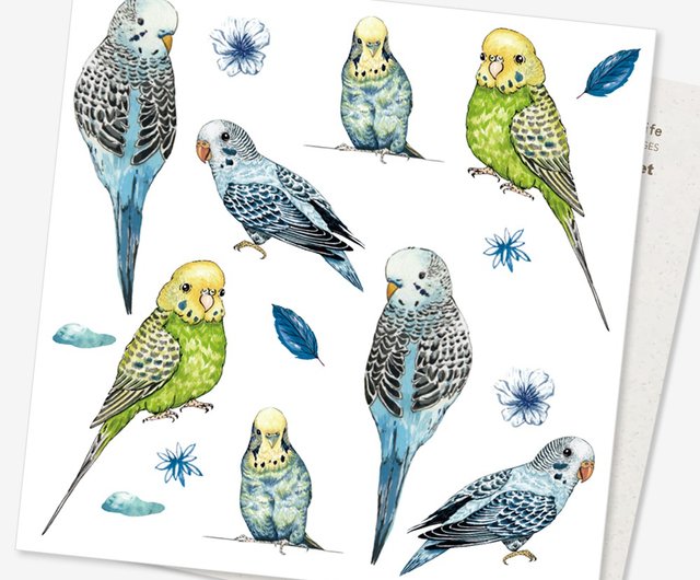 Tattoo Sticker / Budgerigar Tattoo Transfer Sticker - Shop parrotdaylife Temporary Tattoos - Pinkoi Tattoo Sticker / Budgerigar Tattoo Transfer Sticker - Shop parrotdaylife Temporary Tattoos - Pinkoi