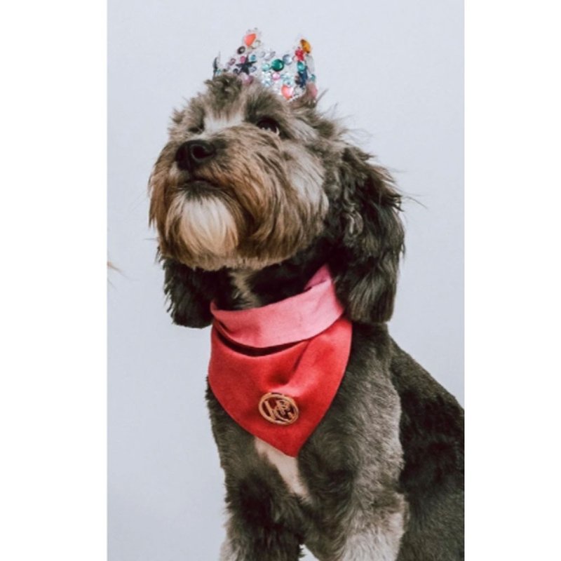 澳洲Happy Go Puppy 寵物領巾-絨絨橘(花紋) - 寵物衣服 - 棉．麻 