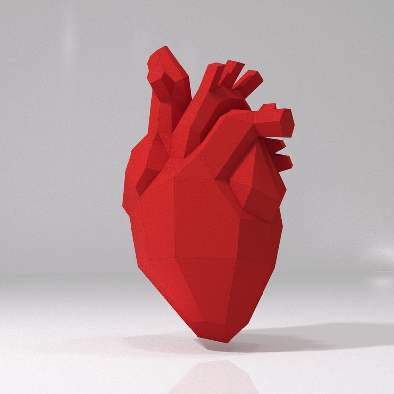 Anatomical Heart Papercraft - 手工藝教學/工具書 - 其他材質 