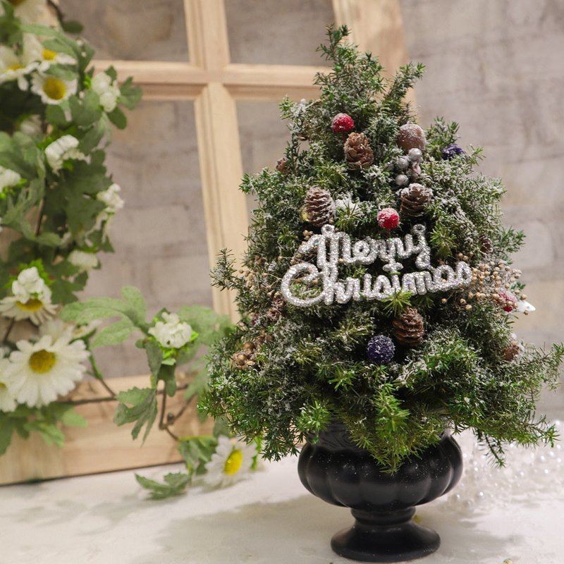 Christmas limited desktop Christmas tree DIY - จัดดอกไม้/ต้นไม้ - พืช/ดอกไม้ 