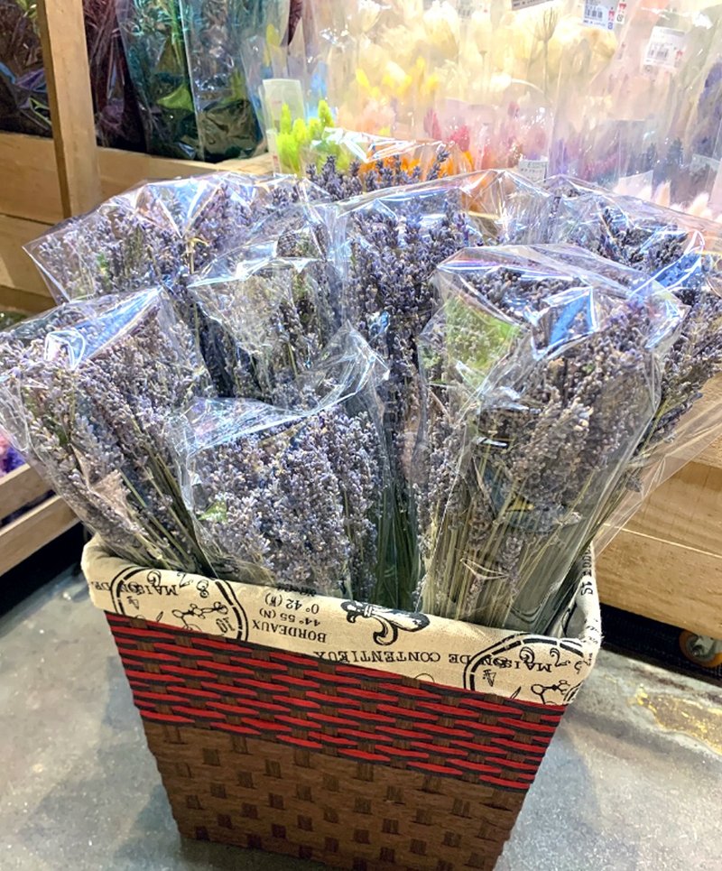 HUA禮奉獻純潔歐洲乾燥薰衣草 長枝 - 乾燥花/永生花 - 植物．花 