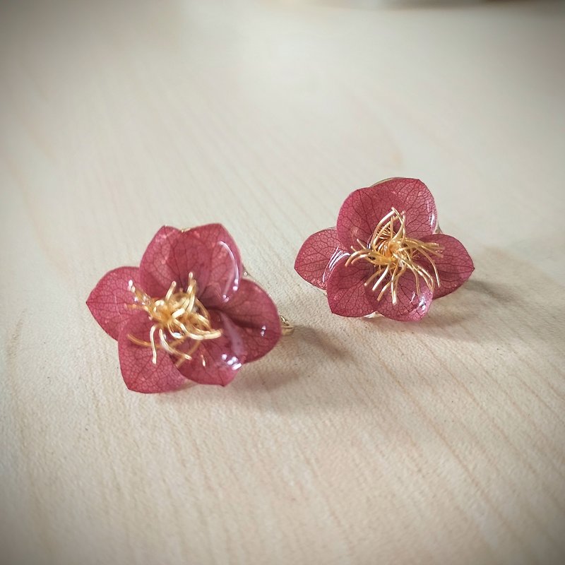 Natural preserved flowers and foliage earring  ( white )) - Earrings & Clip-ons - Plants & Flowers Red