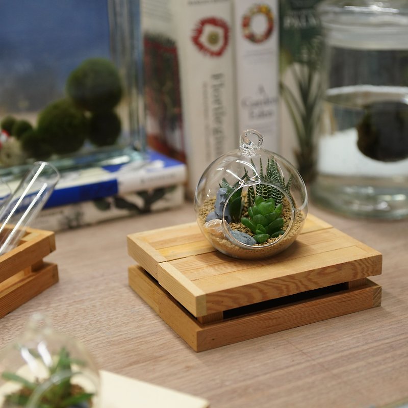 Glass ball world small ball version gift - ตกแต่งต้นไม้ - พืช/ดอกไม้ สีใส