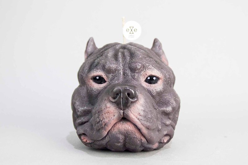 Staffordshire Bull Terrier (pit bull) candle - Purple