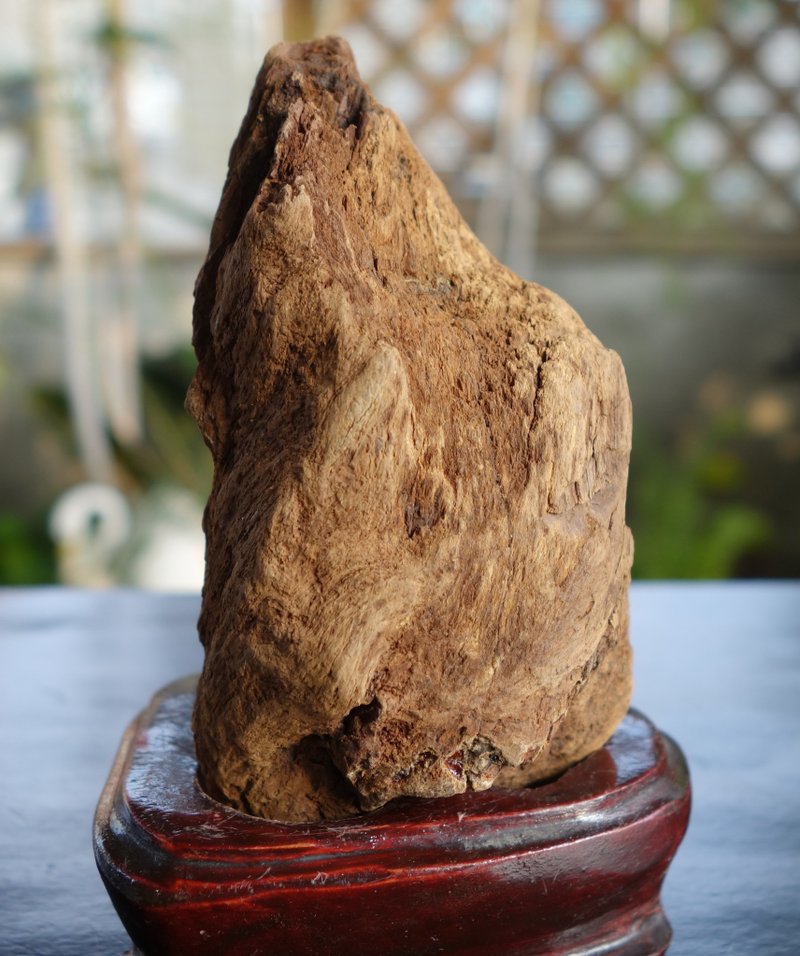 Kalimantan wild agarwood old material 152g agarwood ornaments [submerged water level] Sin Chew water agarwood - Items for Display - Wood Khaki