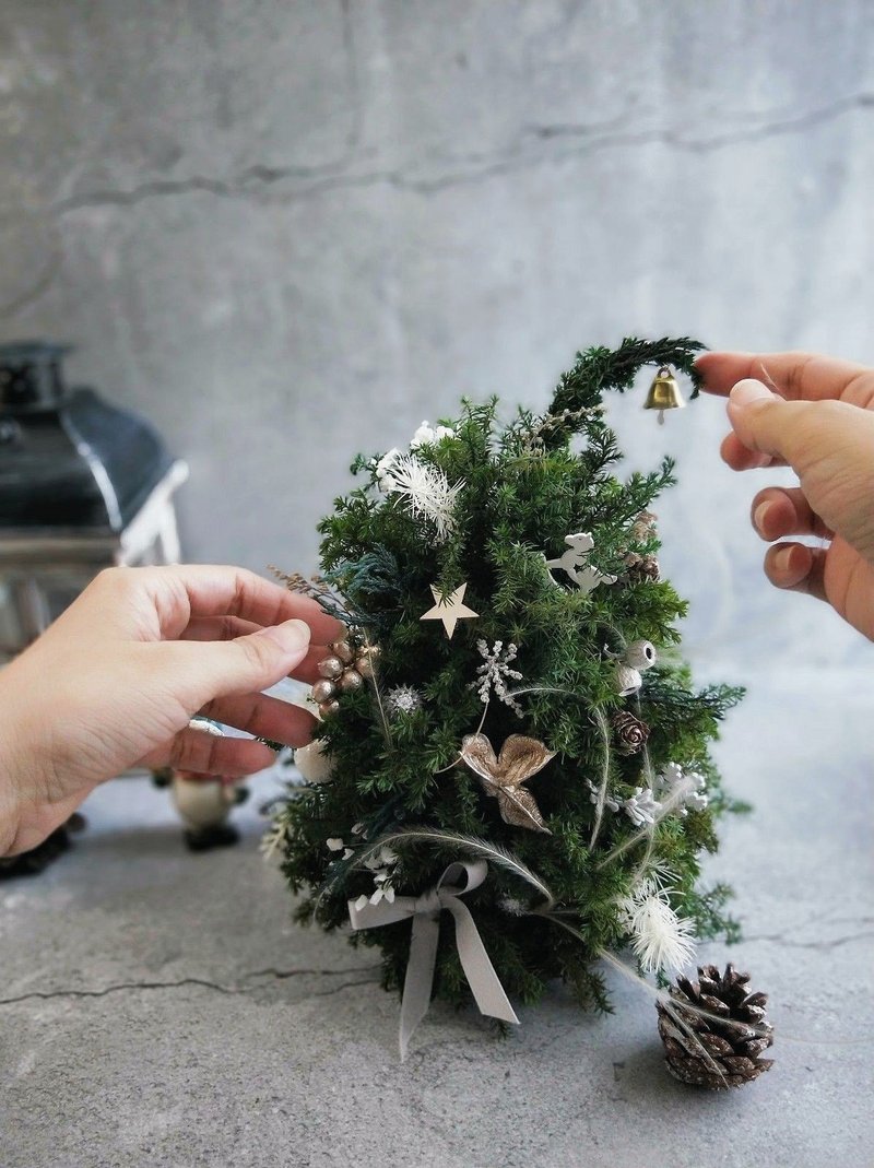 Taipei Handmade Course【One Person in a Class】Christmas Course-Tilt-Head Elf-Christmas Tree - Plants & Floral Arrangement - Plants & Flowers 