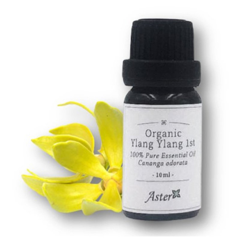Organic Ylang Ylang 1st Essential Oil - อื่นๆ - น้ำมันหอม 