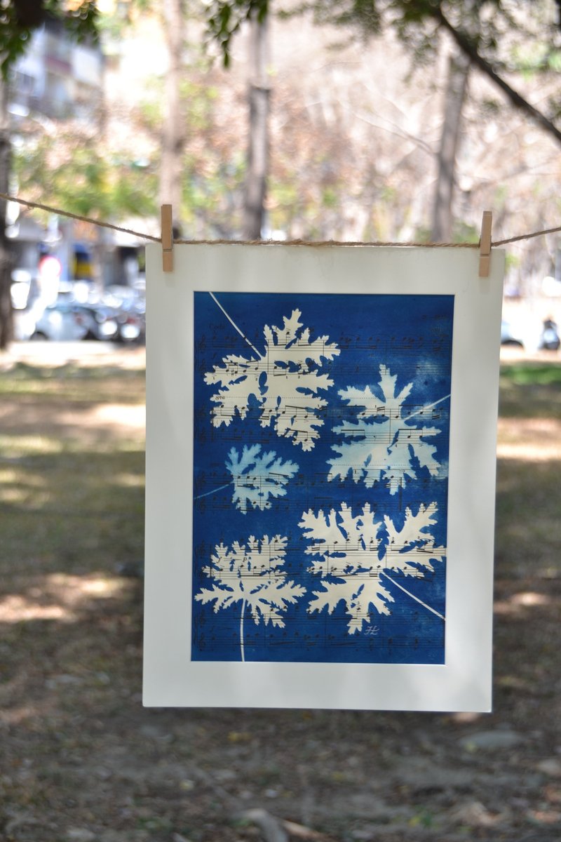 Botanic Cyanotype Framed Art Piece - ตกแต่งผนัง - กระดาษ สีน้ำเงิน