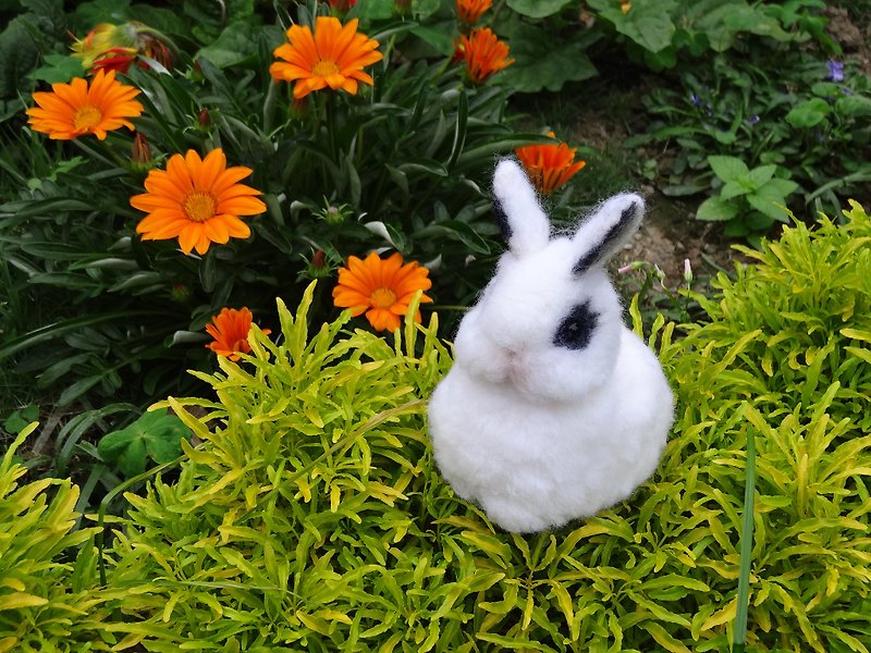 訂製羊毛氈寵物-兔子  (客製化) - 公仔模型 - 羊毛 多色