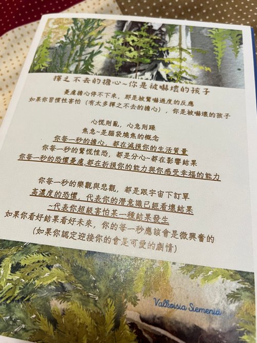 Valkoisia Siemeniä 正能量 正面思維 卡片 正念 (兩款設計,兩份)