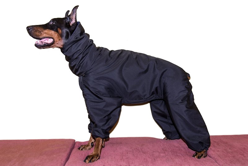 Nylon Clothing & Accessories Black - Doberman Winter Full Body Jacket Custom Made Dog Snowsuit Full Body Coat