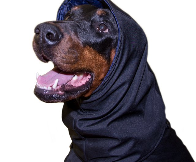 doberman snowsuit