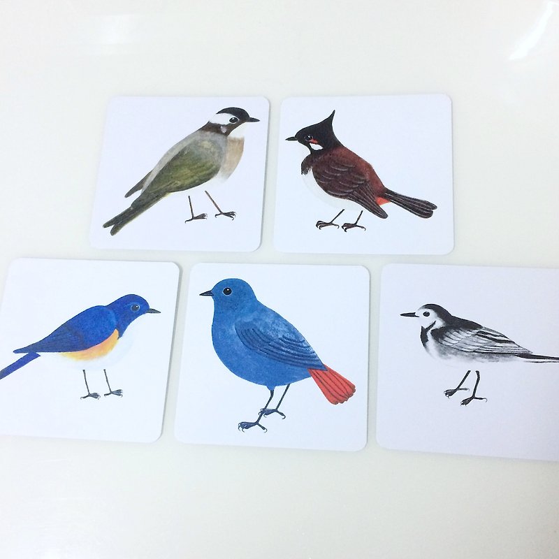 Hong Kong wild birds, a group of five postcards - Cards & Postcards - Paper 
