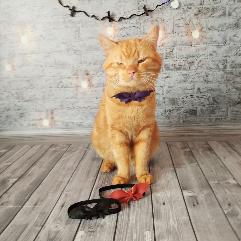 Halloween Cat Bow Tie | Cat costume for Halloween | Artificial leather butterfly - 項圈/牽繩 - 人造皮革 橘色