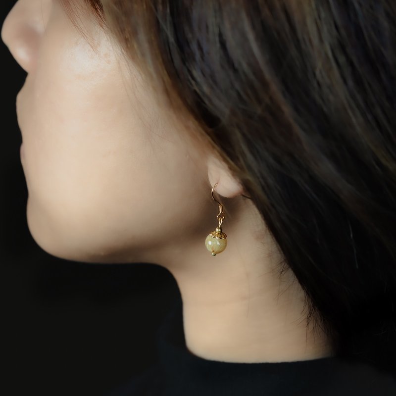 Small Elegant Series l Titanium Crystal Hook Earrings E0001 - ต่างหู - เครื่องเพชรพลอย 