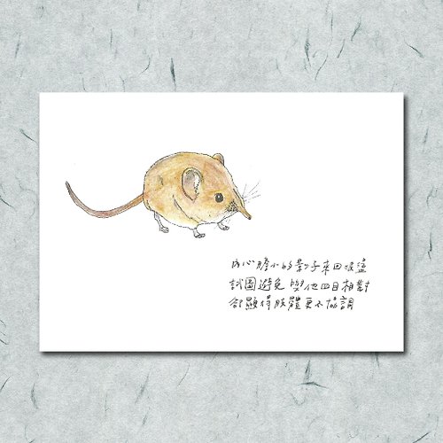 一把蔥 雜燴工作室 動物與牠的詩55/ 象鼩/ 手繪 /卡片 明信片