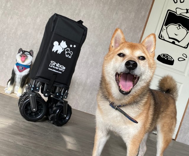 柴犬大学 柴犬 オフロード編 集合 キャンプ カート 折りたたみカート ハンドカート ペットカート - ショップ shibauni  キャンプ用品・ピクニックグッズ - Pinkoi