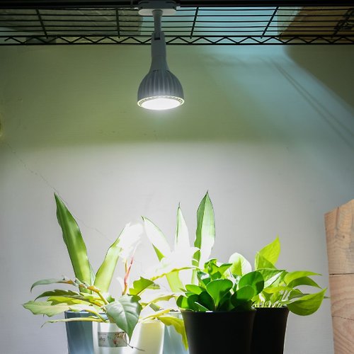 微糖花植間 ALYNA植物燈30W-軌道燈座組/植物生長燈/母親節禮物