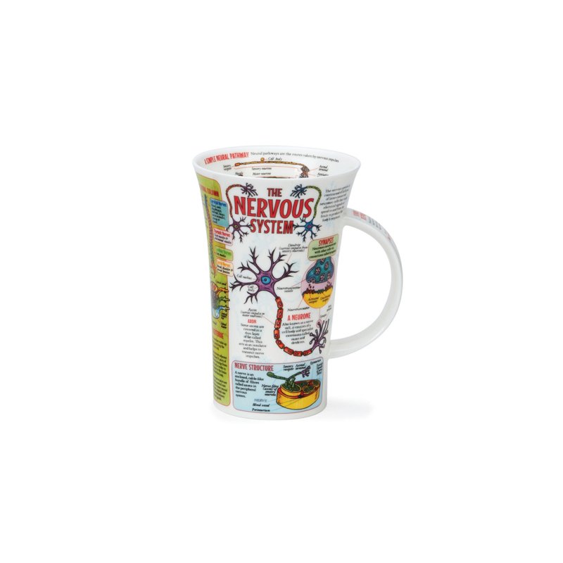 【100% Made in UK】Dunoon About Nervous System Bone China Mug-500ml - แก้วมัค/แก้วกาแฟ - เครื่องลายคราม 