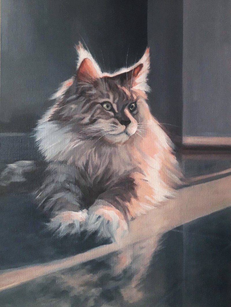 Original oil painting. Portrait of Maine Coon. 60x40 cm - ตกแต่งผนัง - วัสดุอื่นๆ 