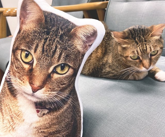 Custom Pet Face Picture Pillow, Personalized Dog Cat Photo Pillow