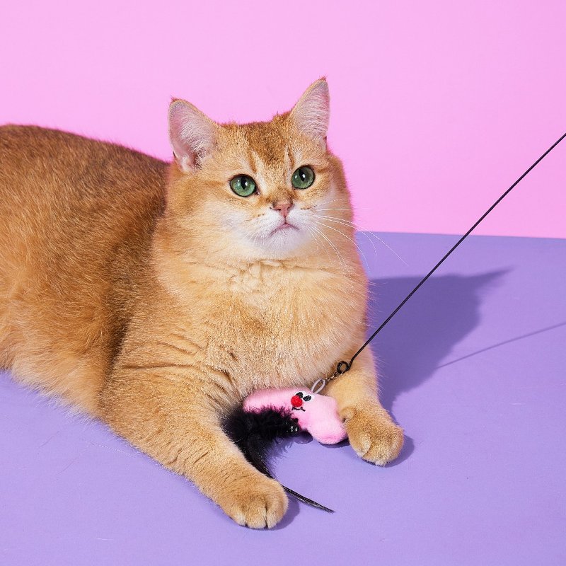 【LUUKS UP】Weather Forecast Bouncing Cat Teaser Wand | Playtime, Rain or Shine - Pet Toys - Other Materials Multicolor