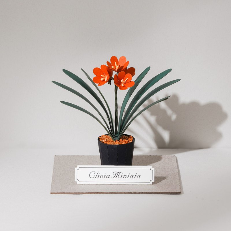 DIY Kit - Forever Green - Clivia Miniata | 9028405 GREENFUL LIFE - งานไม้/ไม้ไผ่/ตัดกระดาษ - กระดาษ 