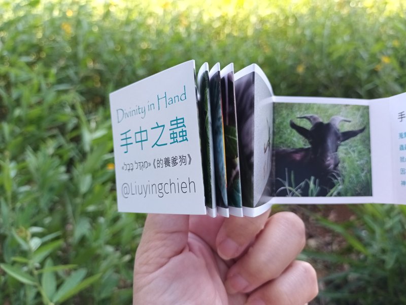 Divinity in Hand Photography Album Folded Handmade Book VEGAN Umbrella Festival Sheep - หนังสือซีน - กระดาษ สีเขียว