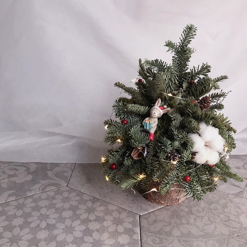 Christmas tree, christmas gift, dry flower exchange, gift, floraflower, norbeson - ตกแต่งต้นไม้ - พืช/ดอกไม้ สีเขียว
