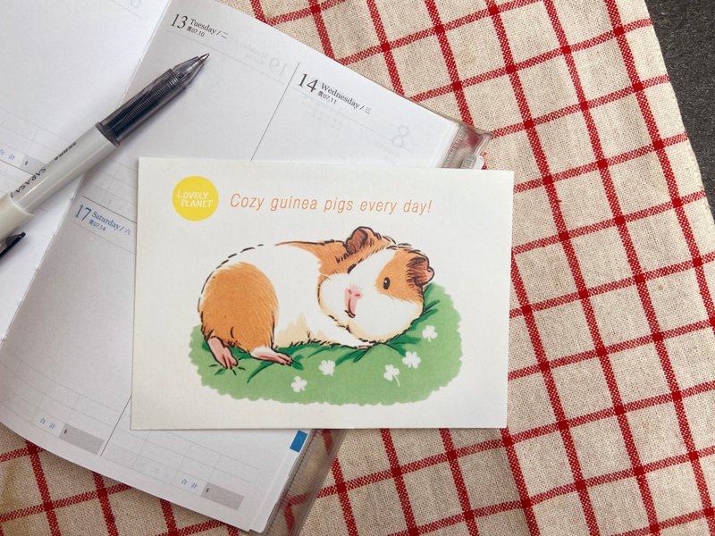 Lovely Planet guinea pig postcard l The imperial concubine lies down on the lazy pig - การ์ด/โปสการ์ด - กระดาษ สีส้ม