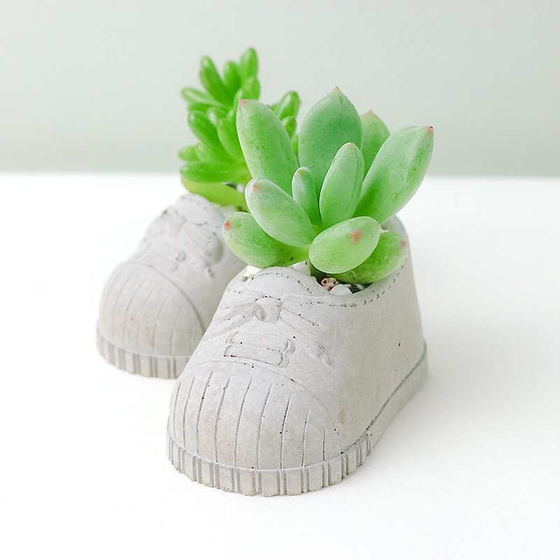 Extra flesh out little shoes without plants - ตกแต่งต้นไม้ - ปูน สีเทา