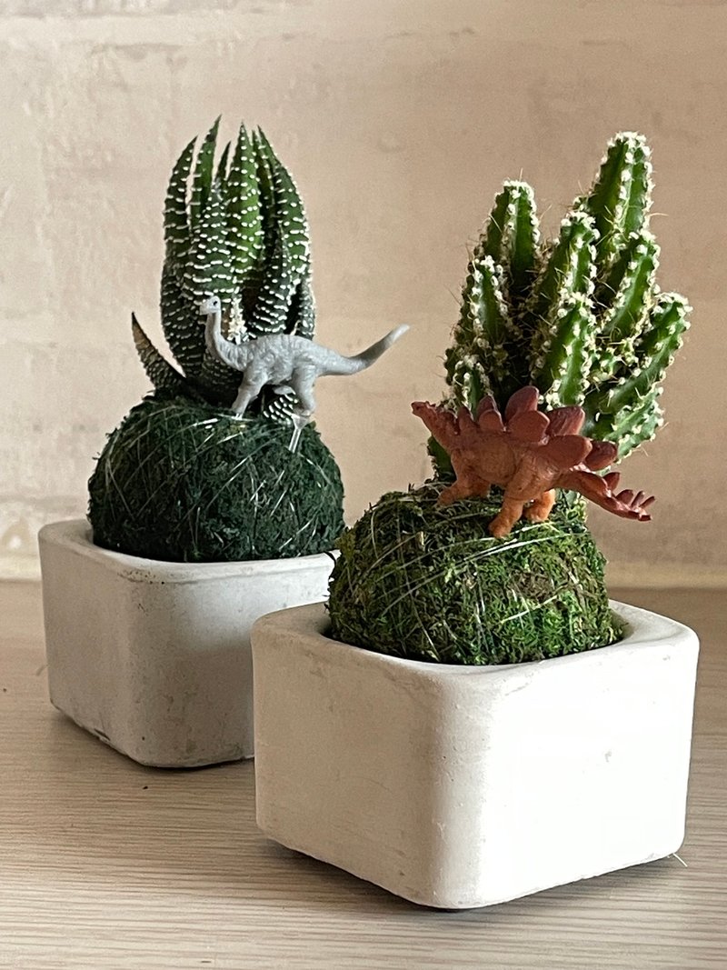 【苔球之島】傑森植場JASON/多肉/仙人掌/恐龍/送禮/植栽/苔球 - 植栽/盆栽 - 植物．花 