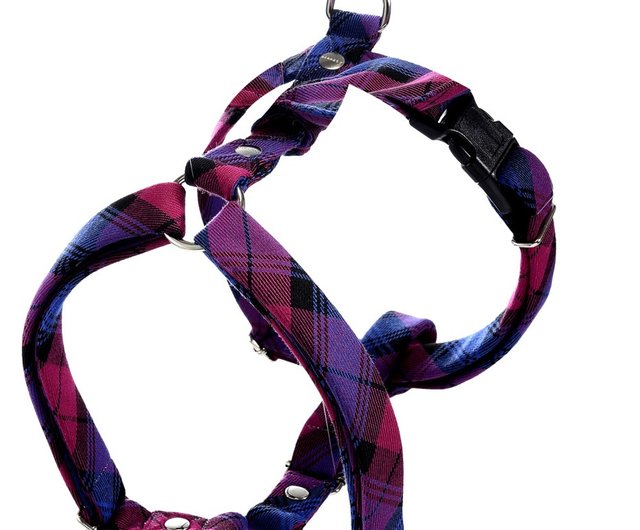 h harness dog