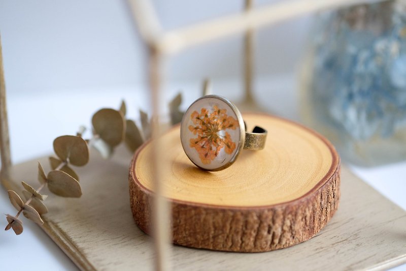 Ammi majus (Orange, BG-White) – Ring - แหวนทั่วไป - พืช/ดอกไม้ สีส้ม