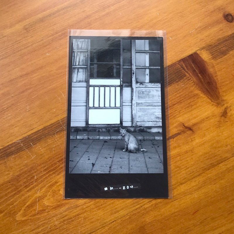手作り限定ポストカード-猫/台湾小物写真 - カード・はがき - 紙 多色