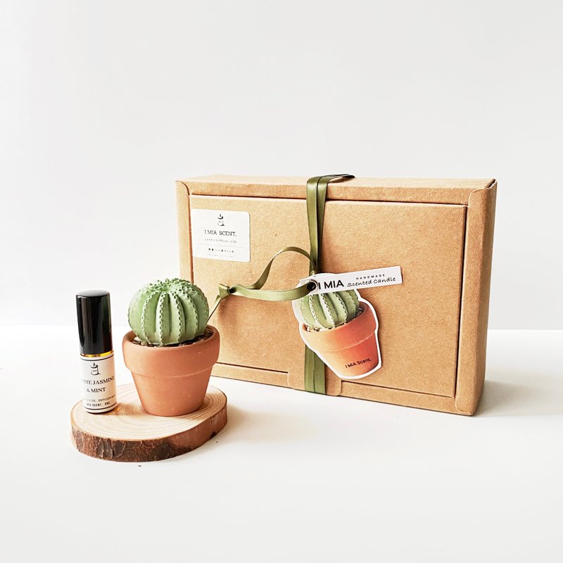 Healing Cactus Diffused Plaster PLUS 1 - c5  Set - น้ำหอม - วัสดุอื่นๆ 