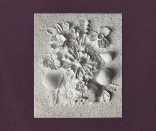 BotanicalArtGifts 牆壁雕塑藝術花卉和水果 3d 花卉牆壁藝術白色淺浮雕 植物裝飾