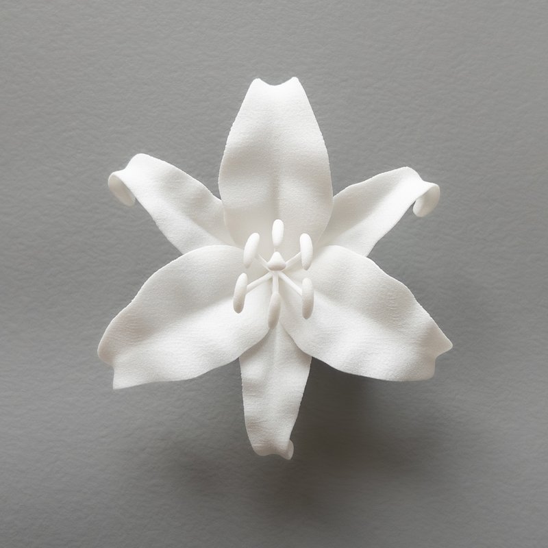 カサブランカ　ブローチ - 胸針 - 塑膠 白色