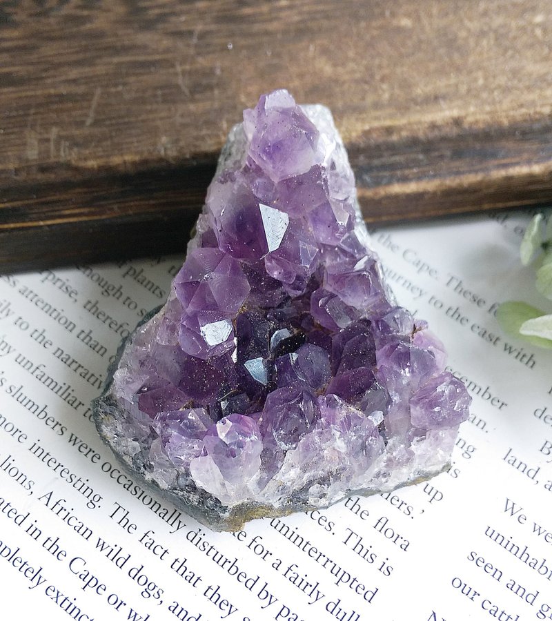 Amethyst 巴西產地 原皮紫水晶 晶簇 天然礦石 原礦 - Items for Display - Other Materials 
