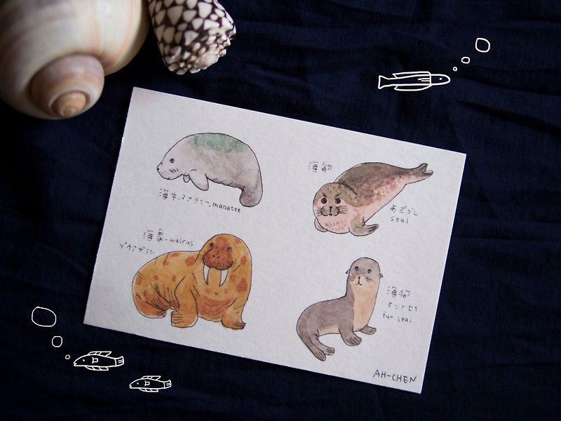Animal Guide-Fur seal, manatee, seal, walrus - การ์ด/โปสการ์ด - กระดาษ ขาว