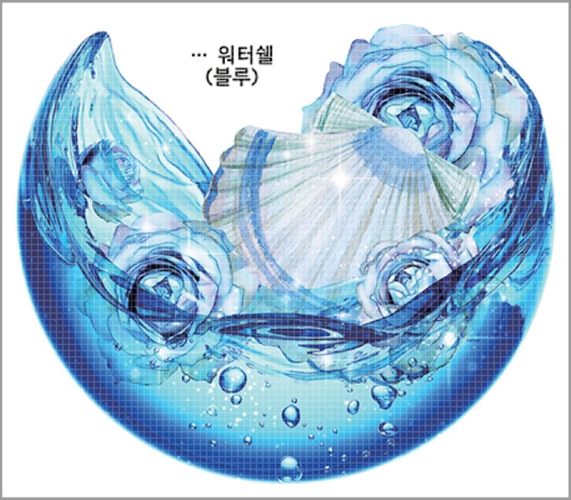 Water Shell 5types (blackraccoon) Vintage collage design paper sticker - 貼紙 - 紙 多色