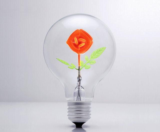 Darksteve Peony Vintage Light Bulb Edison Style G80 E26 E27 Screw Filament Decorative Light Bulbs 1 Unique Gift Shop Darksteve Find The Perfect Gifts Novelty Light Designer Light Bulb Lighting Pinkoi