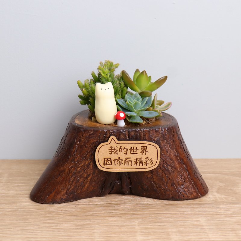 Xiaorimi succulent potted plant name plate customized log wedding birthday opening gift graduation - Plants - Wood Brown