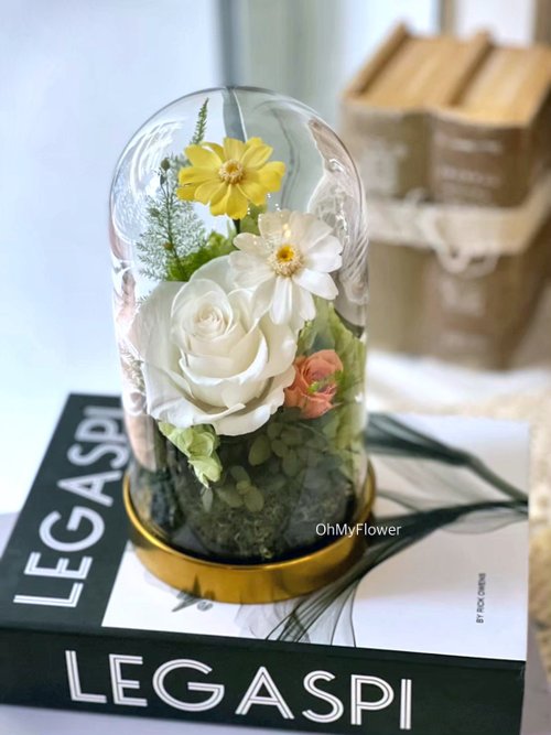Oh My Flower 生活花藝 青春永恆 永生花 玻璃罩盅 居家擺飾 生日禮物 謝師禮